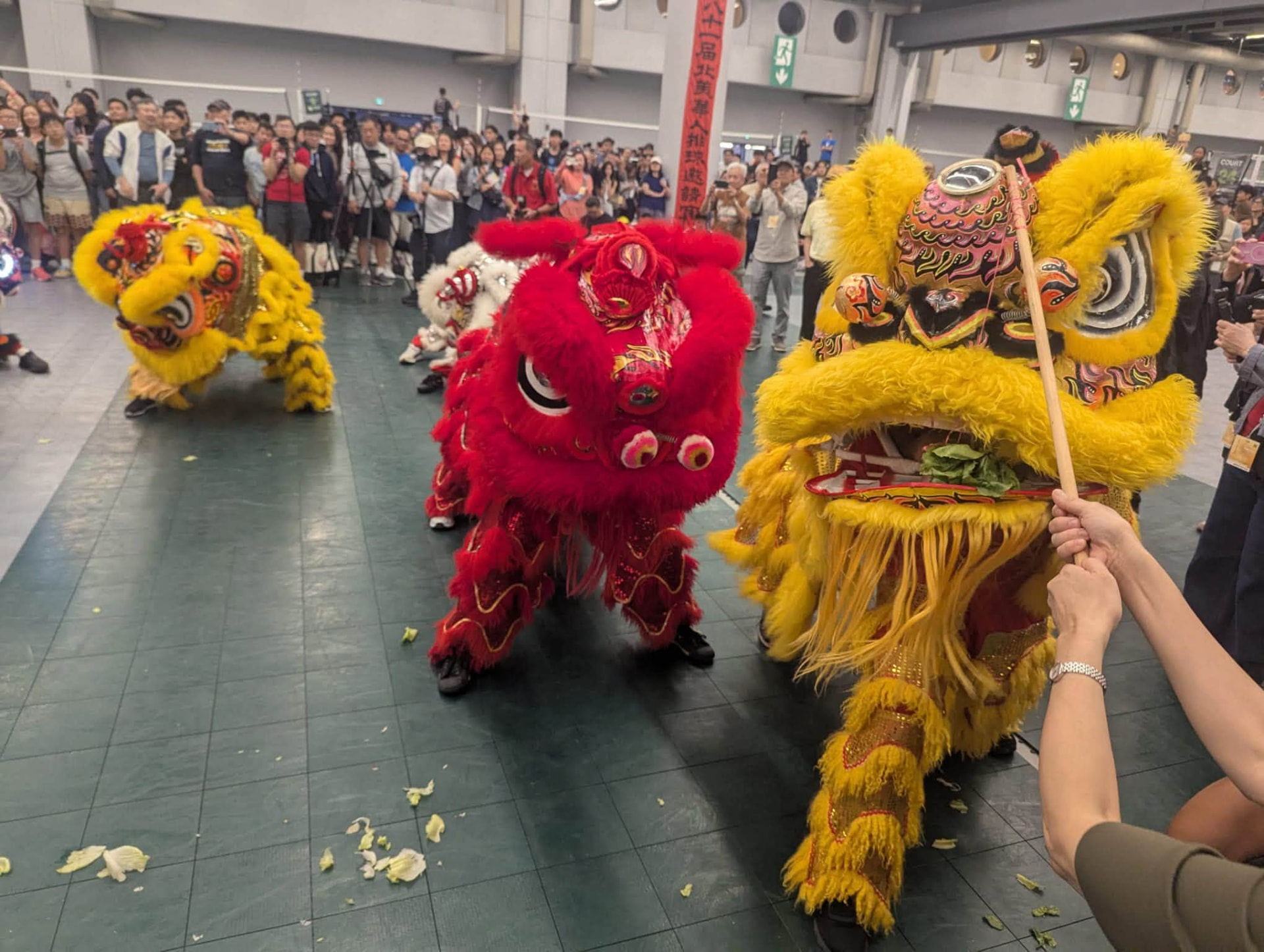 Chan Lion Dance Club and Montreal Chinese Lion Dance Club lions performing together at the 81st NACIVT opening ceremony